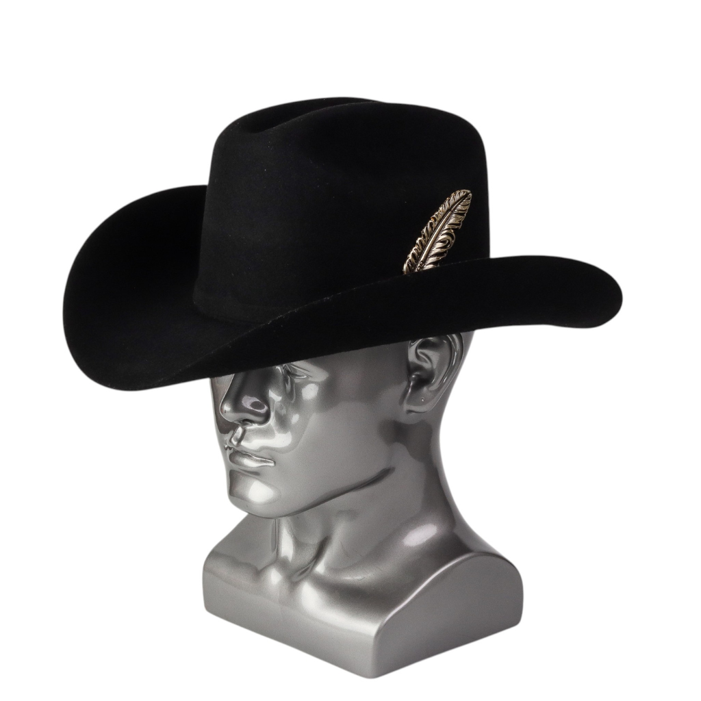 Vista lateral resaltando longitud del ala y estructura firme.