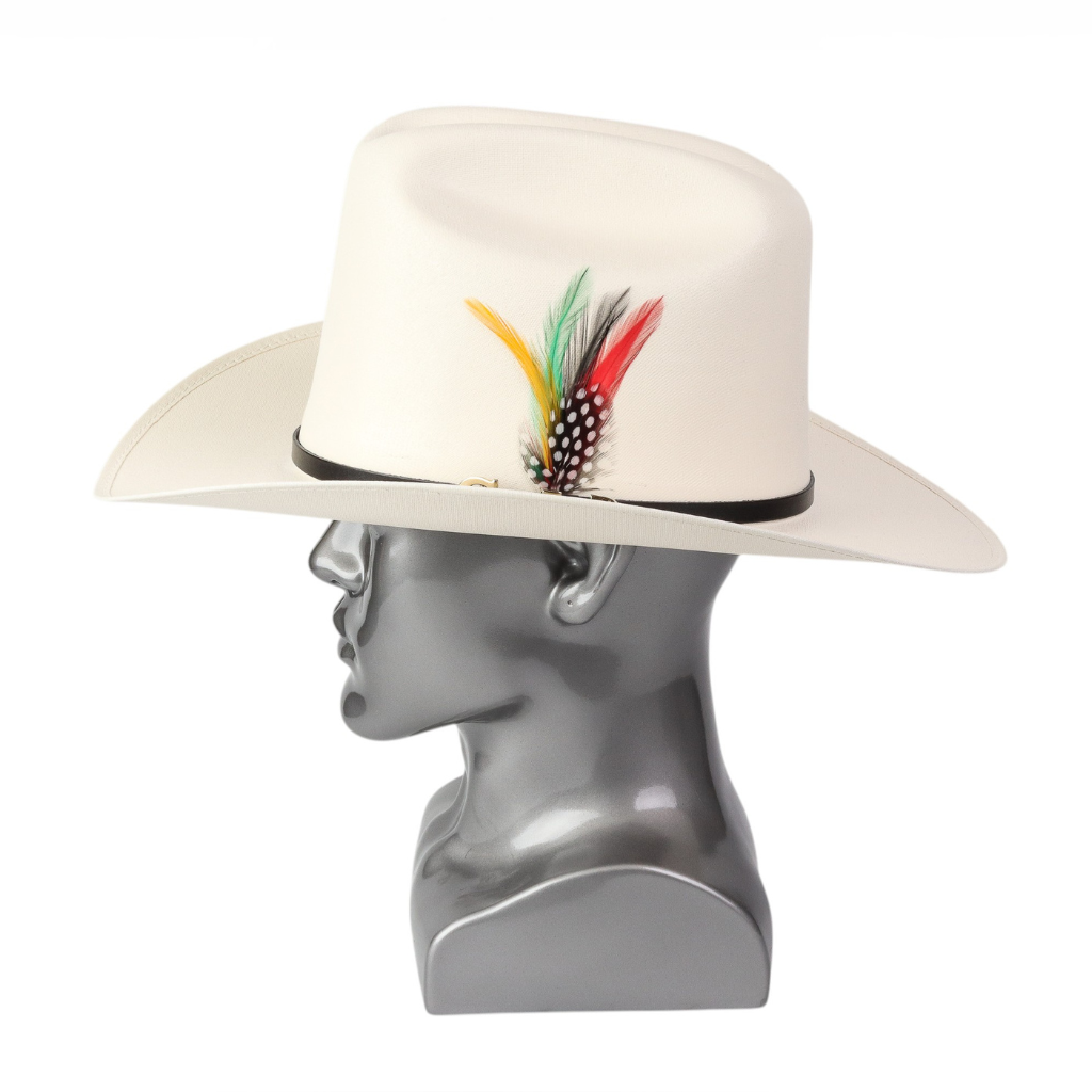 Vista lateral derecha destacando perfil estructurado y banda.