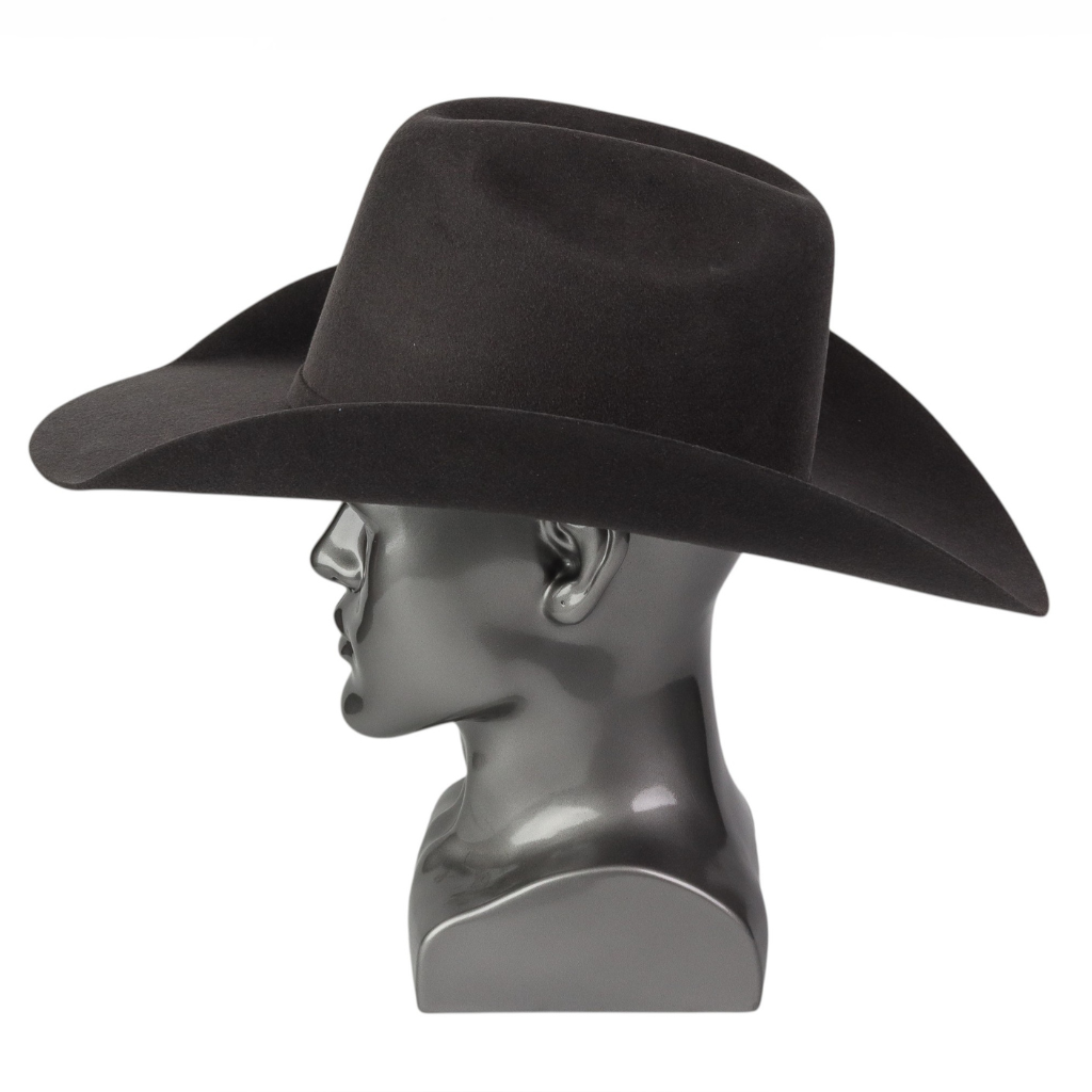 Vista lateral derecha resaltando la silueta.