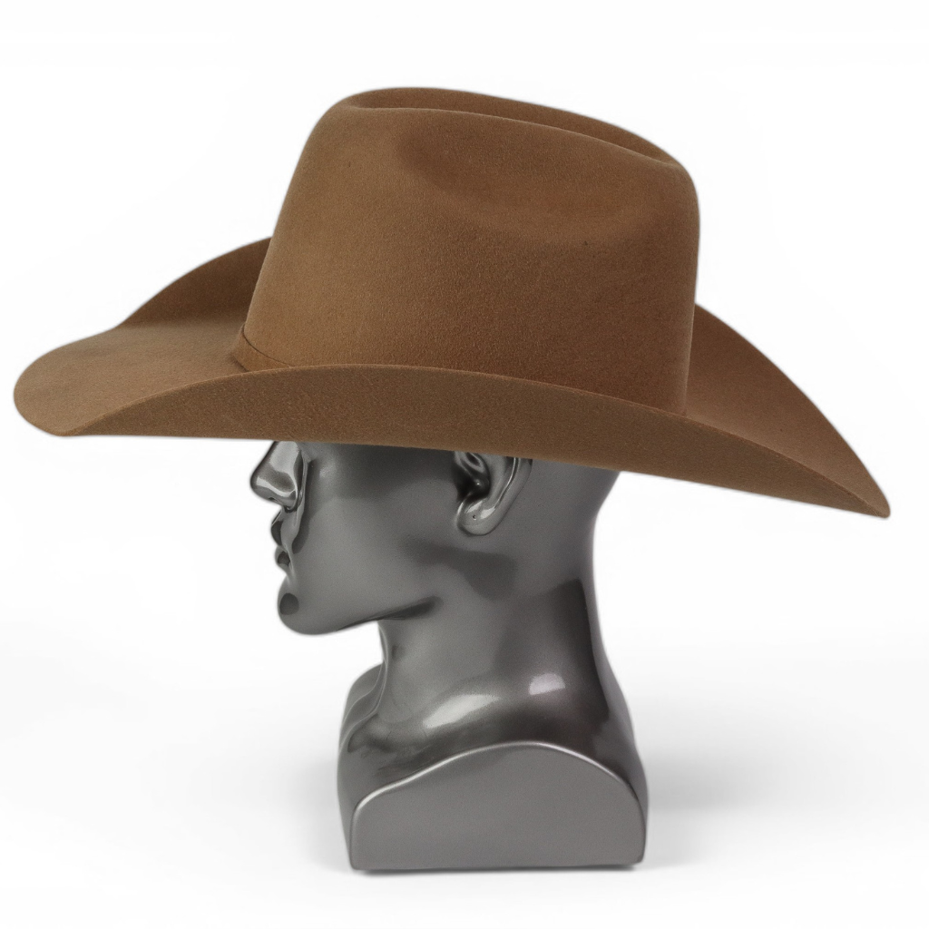 Vista lateral derecha resaltando la silueta.