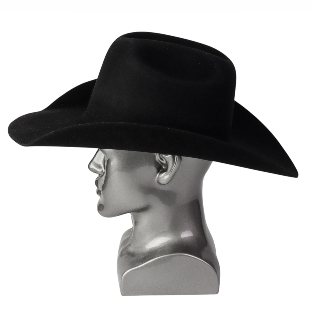 Vista lateral derecha resaltando la silueta.