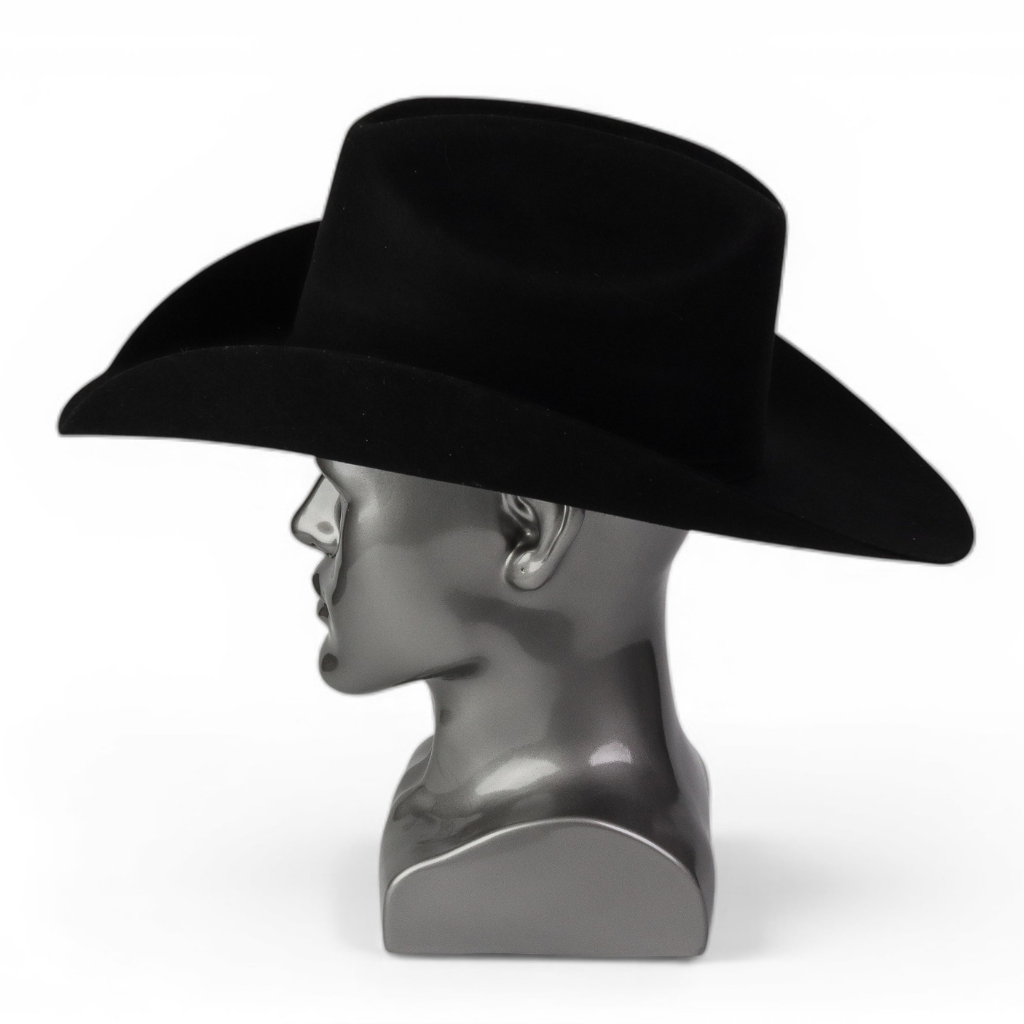 Vista lateral derecha resaltando la silueta western.