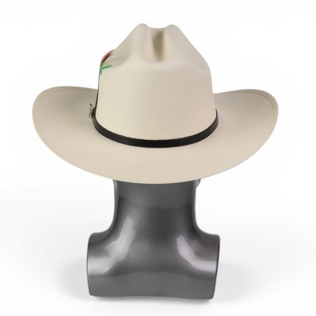 Vista trasera evidenciando forma firme de la copa y caída del ala.