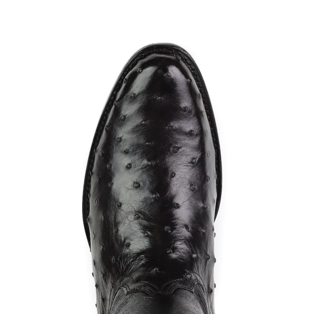 Vista superior que muestra la punta ovalada y el acabado brillante.