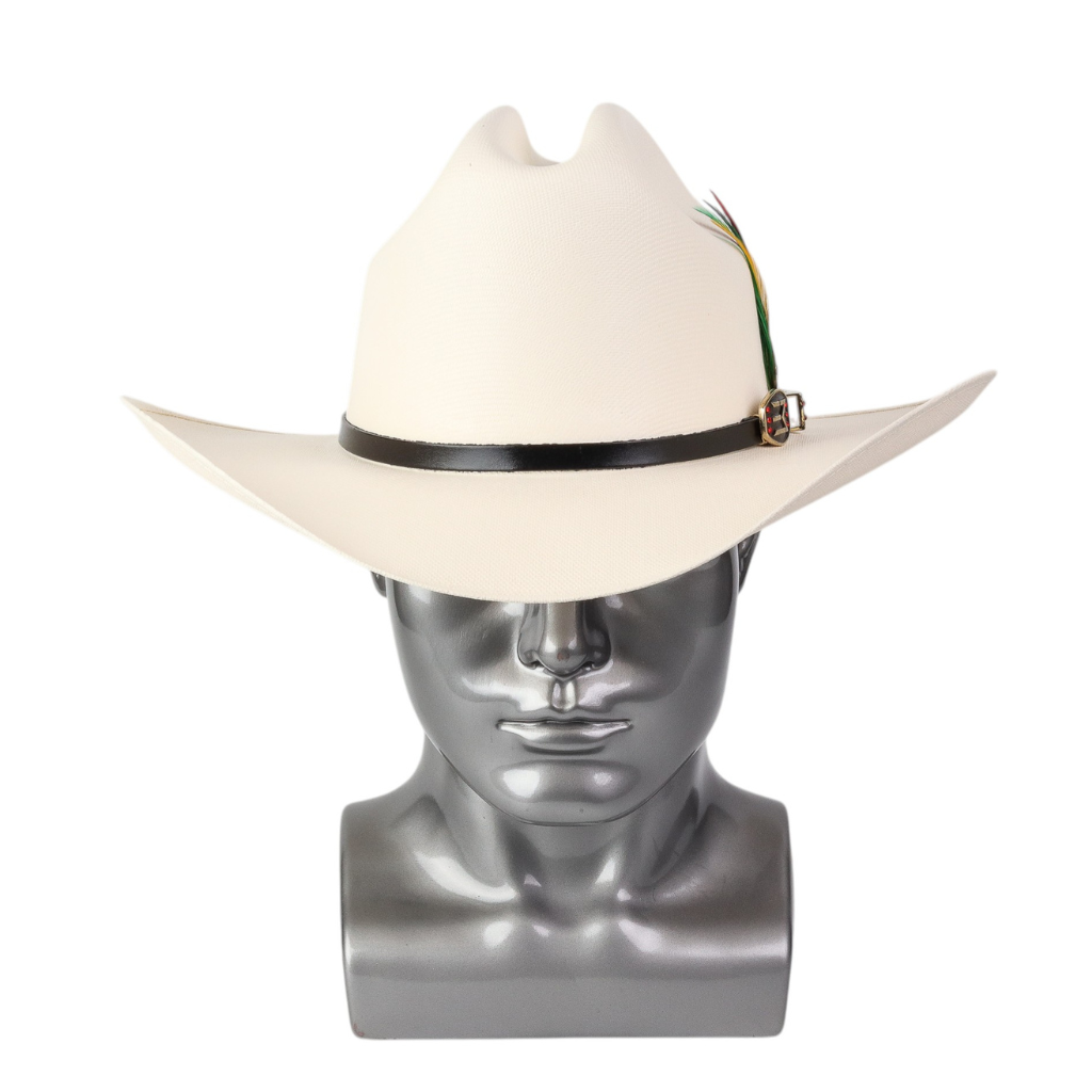 Vista frontal mostrando copa alta marcada y ala amplia curvada.