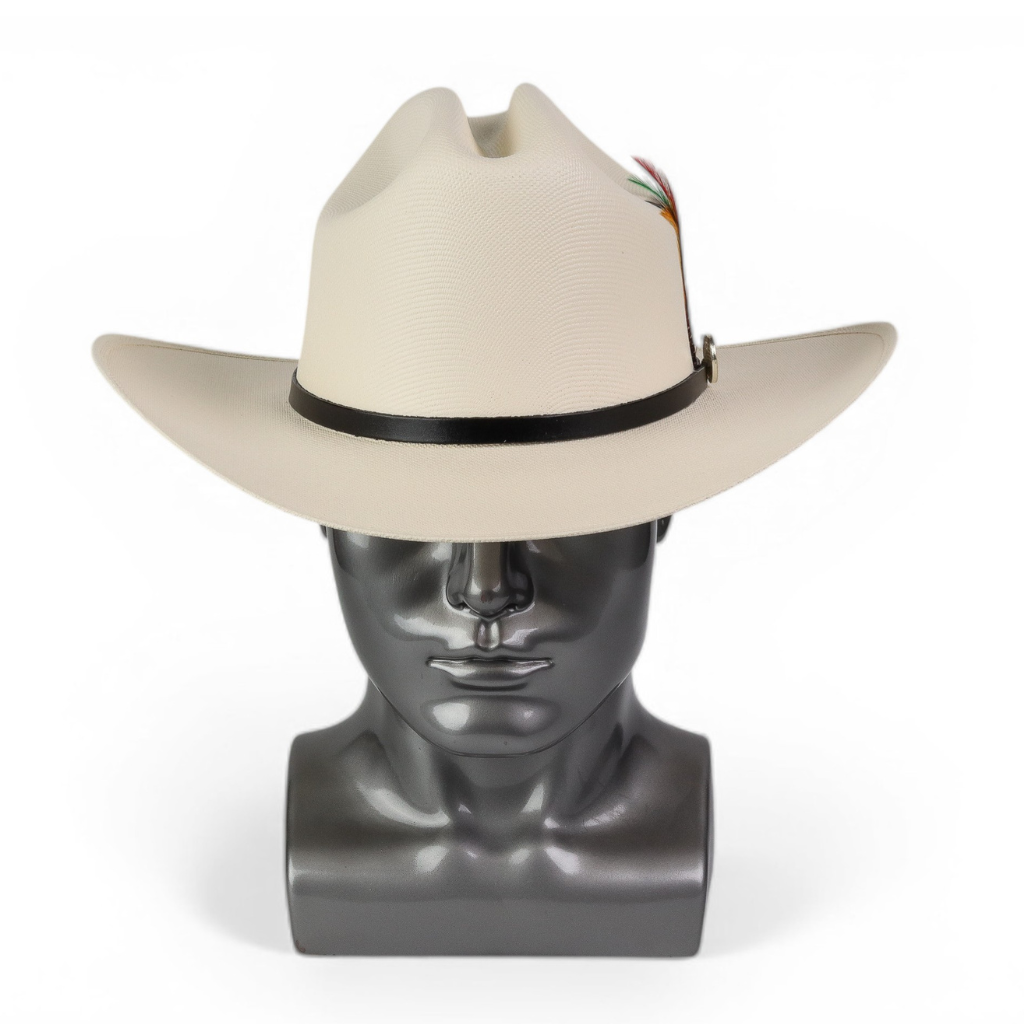 Vista frontal mostrando copa alta marcada y ala amplia curvada.