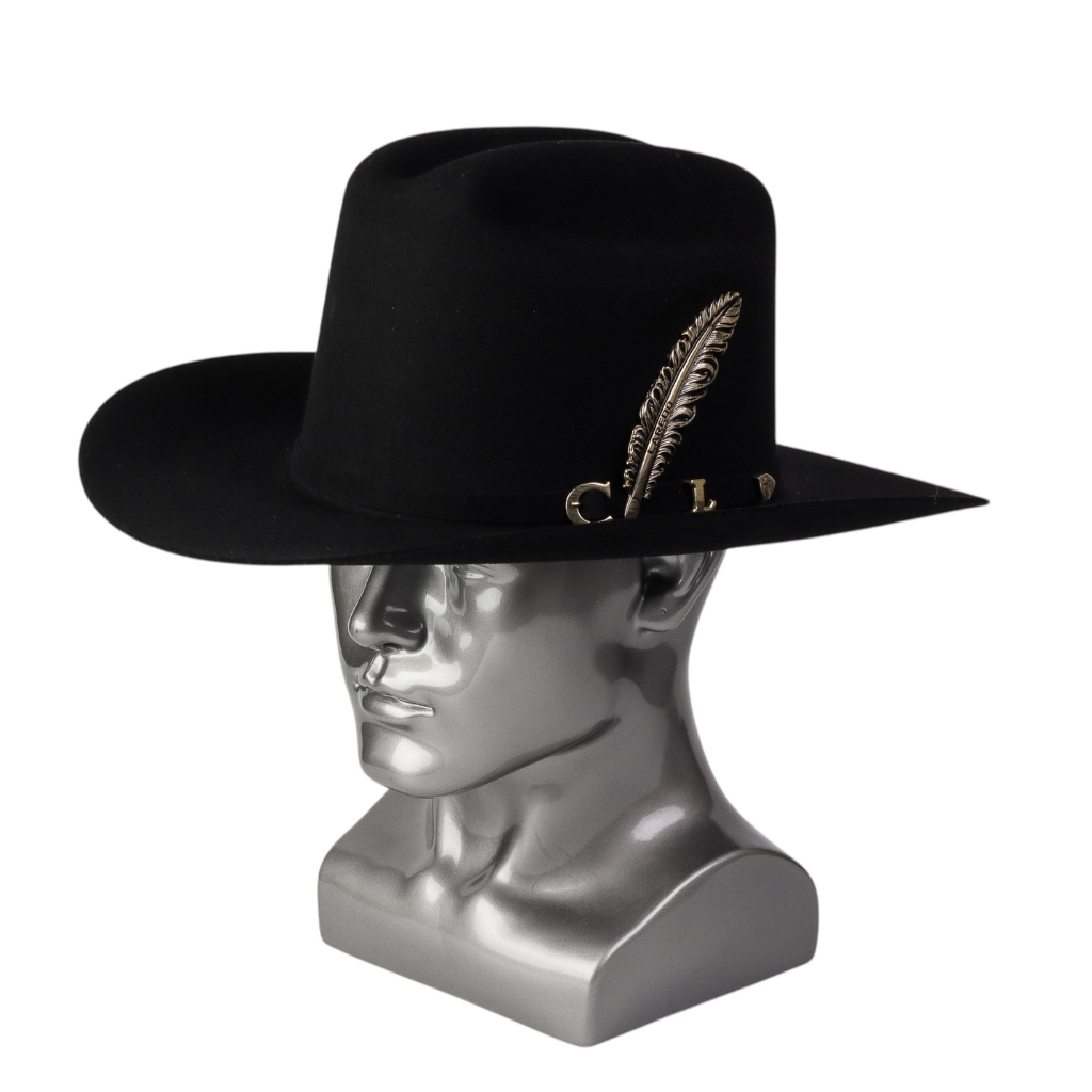 Vista lateral resaltando longitud del ala y pluma metálica.