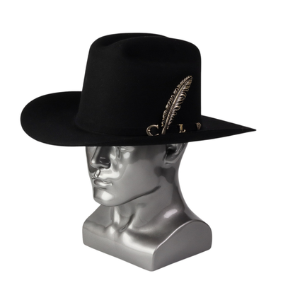 Vista lateral resaltando longitud del ala y pluma metálica.