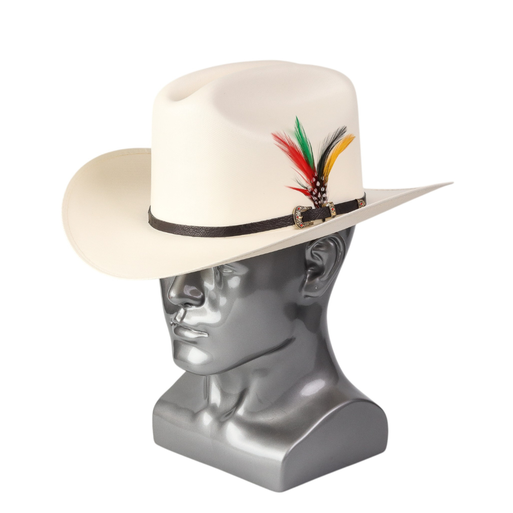 Vista lateral destacando longitud del ala y plumas decorativas.