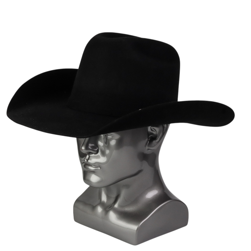 Vista lateral mostrando forma de copa y ala.