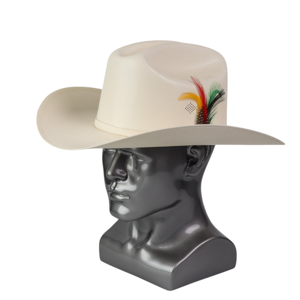 Vista lateral mostrando longitud del ala y detalle de plumas.