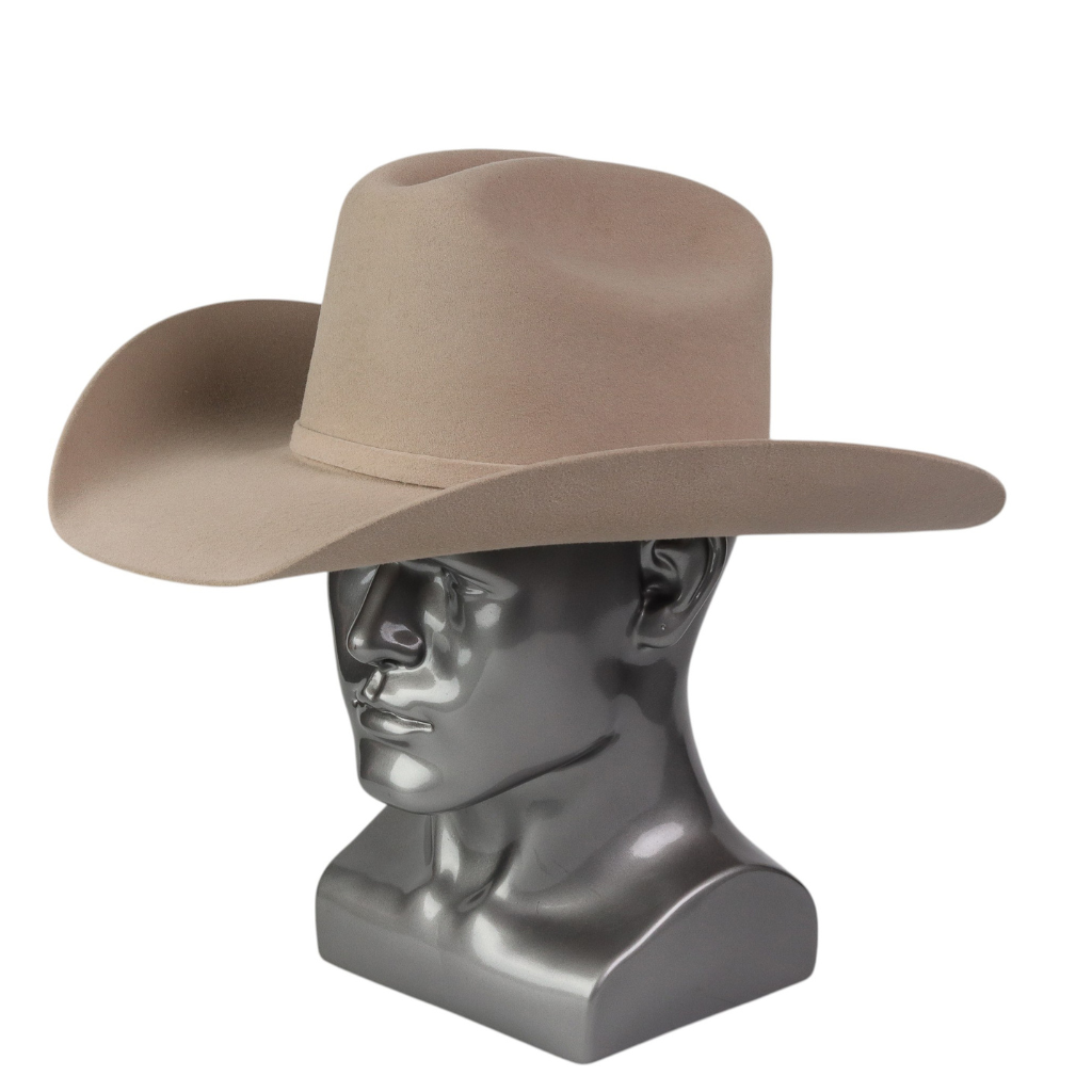 Vista lateral mostrando forma de copa y ala.