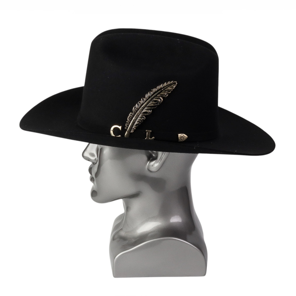 Vista lateral derecha mostrando perfil estructurado y curvatura del ala.