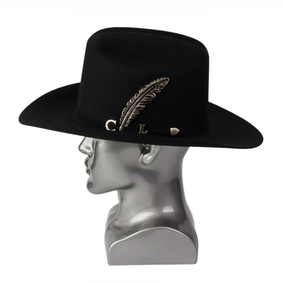 Vista lateral derecha mostrando perfil estructurado y curvatura del ala.