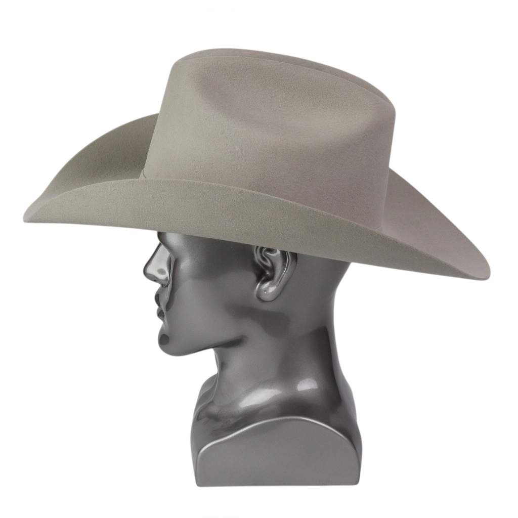 Vista lateral derecha resaltando la silueta.