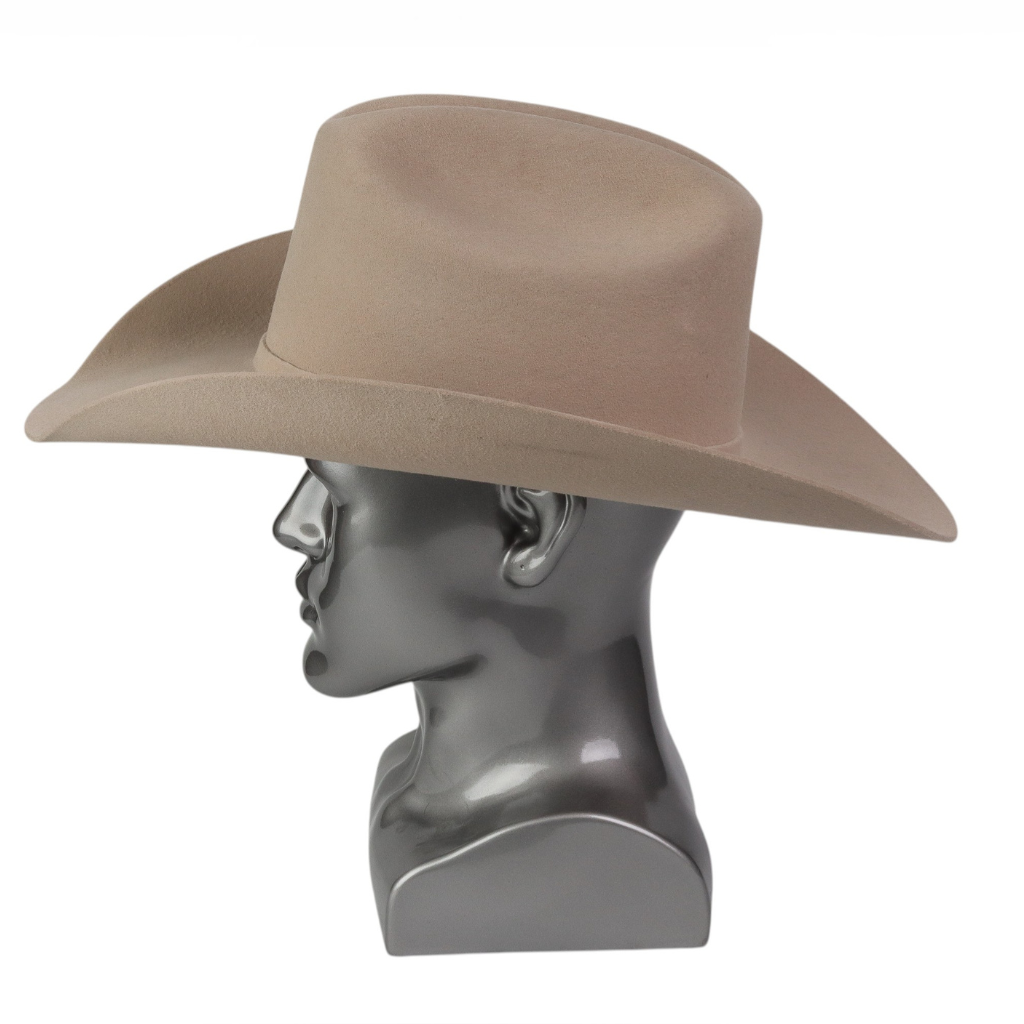 Vista lateral derecha resaltando la silueta.