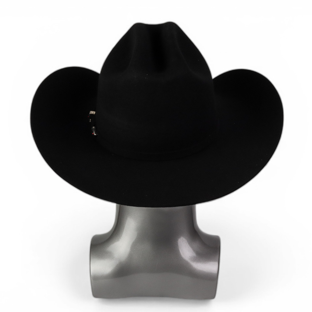 Vista trasera mostrando estructura y caída del ala.