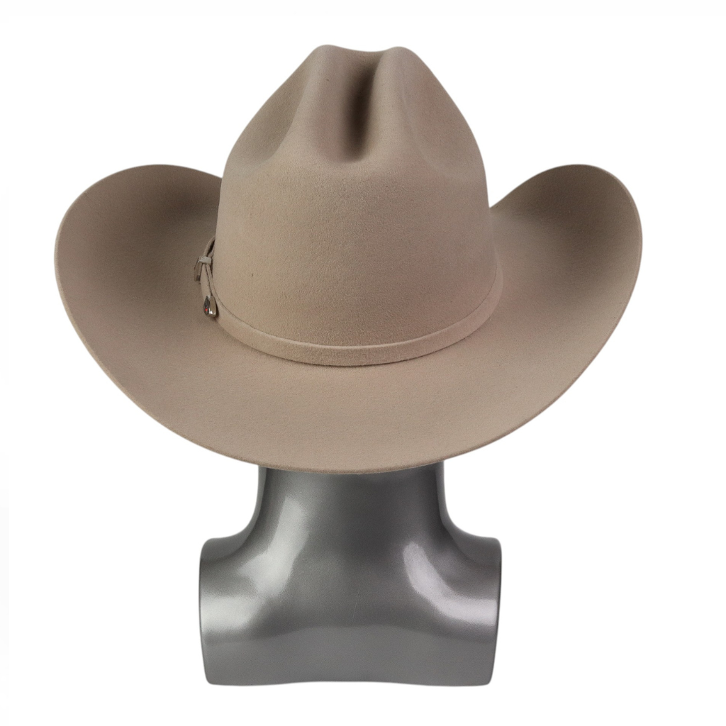 Vista trasera con estructura de copa definida.