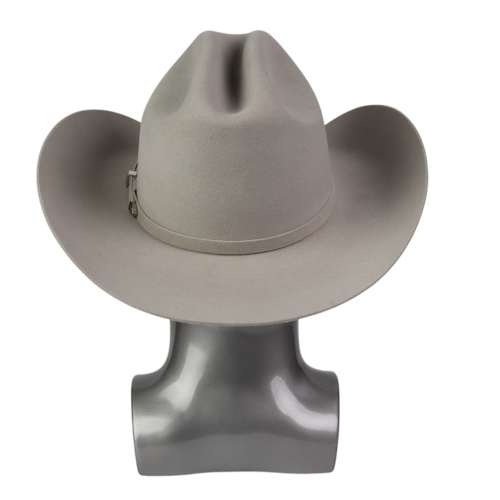 Vista trasera con estructura de copa definida.