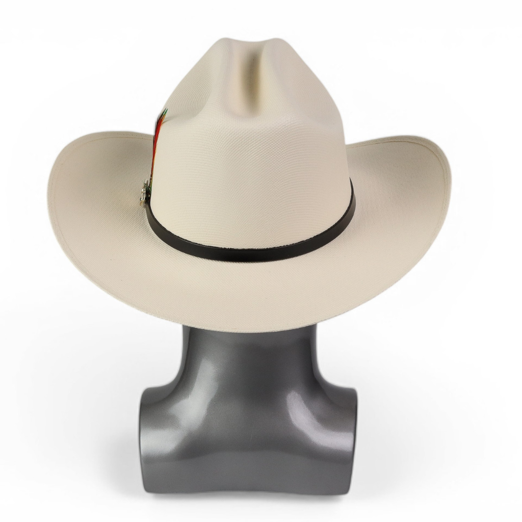 Vista trasera evidenciando la forma firme de la copa y la caída del ala.