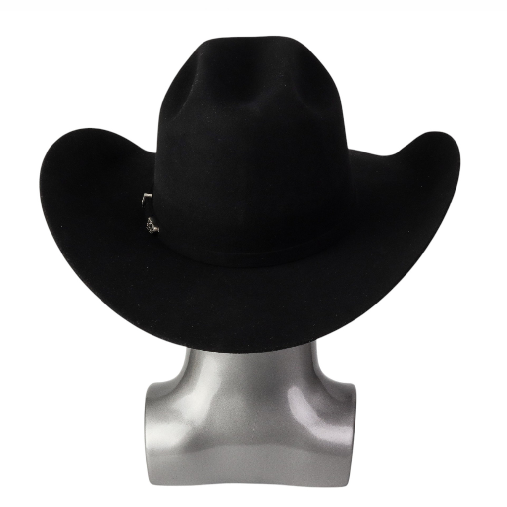 Vista trasera con estructura de copa definida.