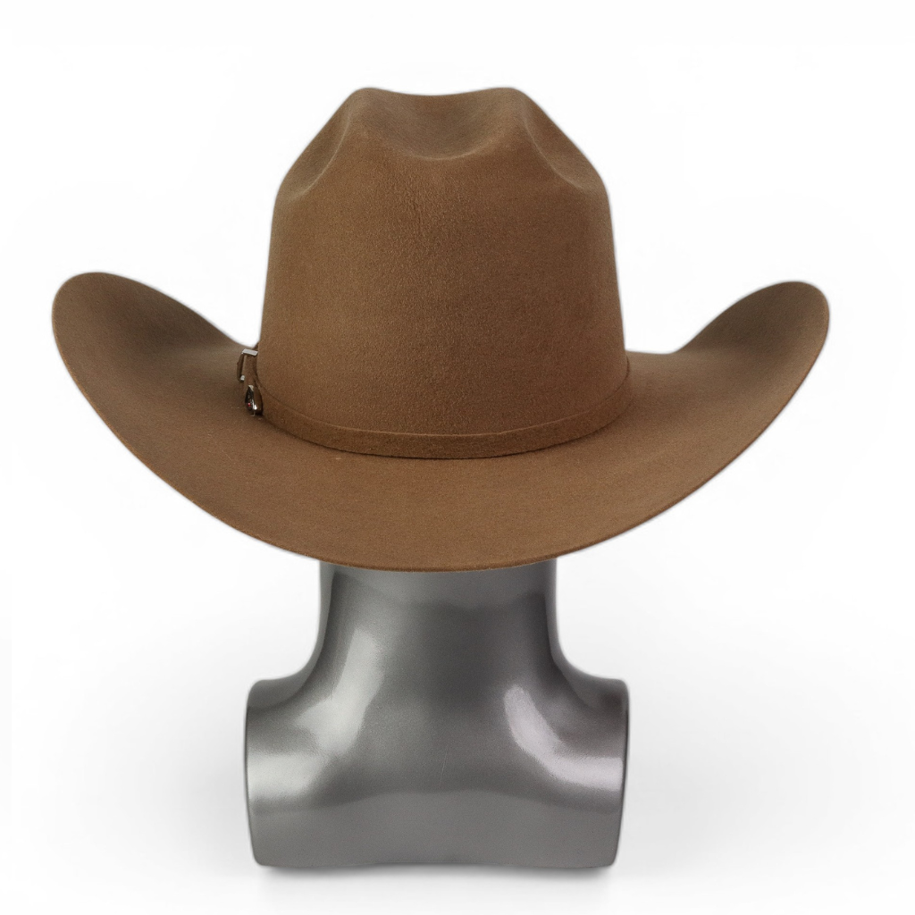 Vista trasera con estructura de copa definida.