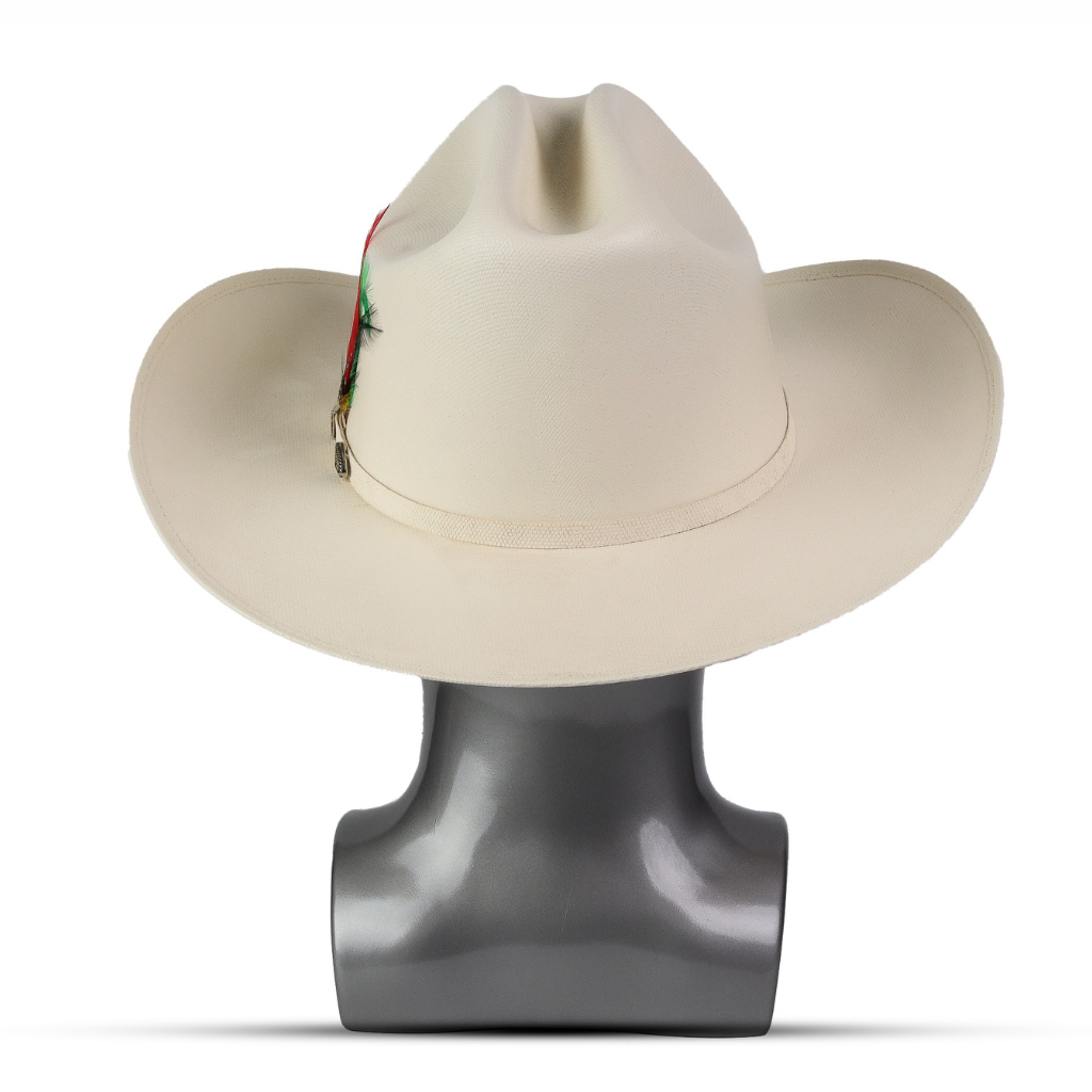 Vista trasera mostrando forma firme de la copa y caída equilibrada del ala.