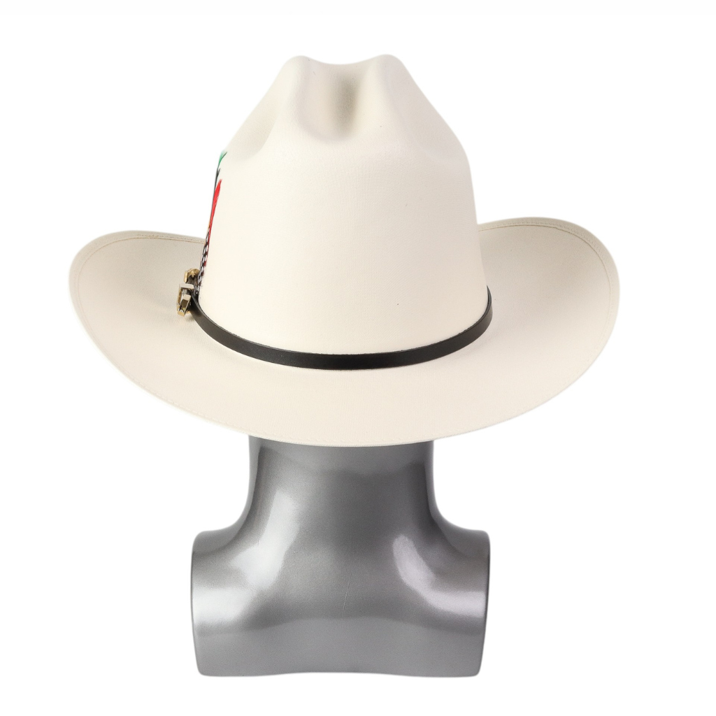 Vista trasera evidenciando forma firme de la copa y caída del ala.