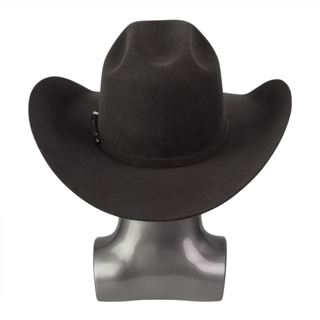 Vista trasera con estructura de copa definida.